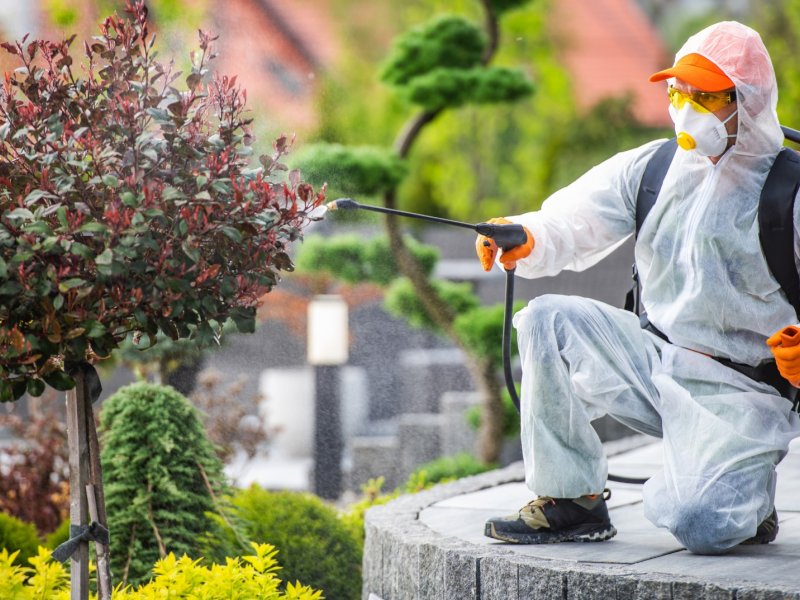 Marmaris Haşere İlaçlama