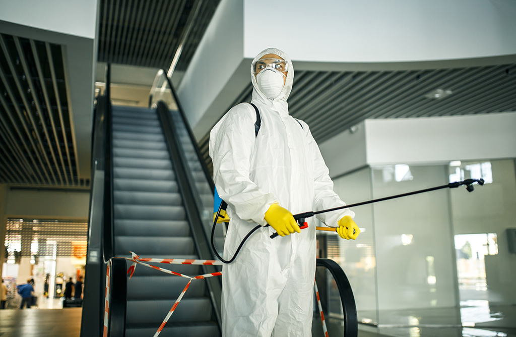 Marmaris Haşere İlaçlama